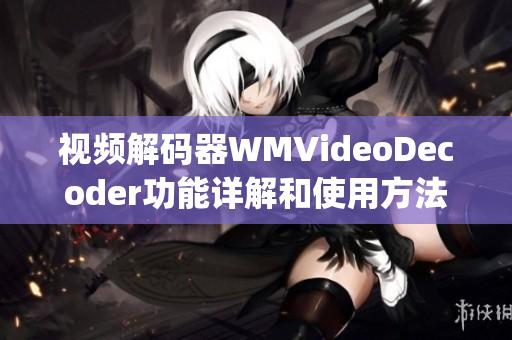 视频解码器WMVideoDecoder功能详解和使用方法(1)