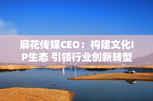 麻花传媒CEO：构建文化IP生态 引领行业创新转型