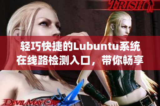 轻巧快捷的Lubuntu系统在线路检测入口，带你畅享高效体验(1)