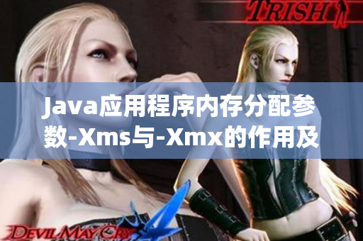 Java应用程序内存分配参数-Xms与-Xmx的作用及区别详解