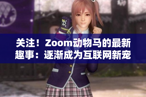 关注！Zoom动物马的最新趣事：逐渐成为互联网新宠！