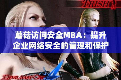 蘑菇访问安全MBA：提升企业网络安全的管理和保护(1)