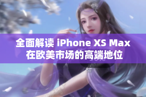 全面解读 iPhone XS Max 在欧美市场的高端地位