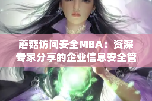 蘑菇访问安全MBA：资深专家分享的企业信息安全管理经验(1)