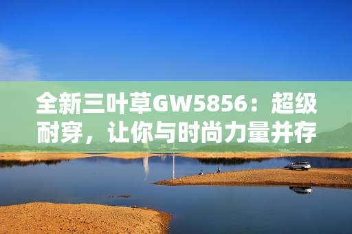 全新三叶草GW5856：超级耐穿，让你与时尚力量并存