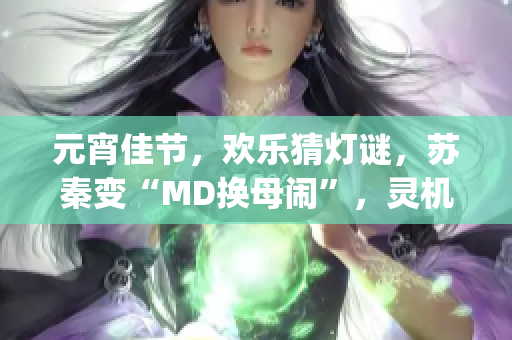 元宵佳节，欢乐猜灯谜，苏秦变“MD换母闹”，灵机一触妙趣多(1)