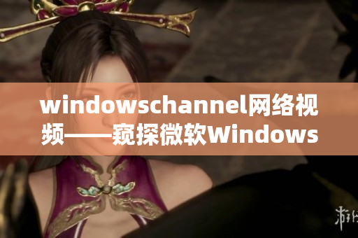 windowschannel网络视频——窥探微软Windows世界