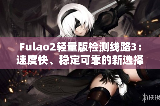 Fulao2轻量版检测线路3：速度快、稳定可靠的新选择