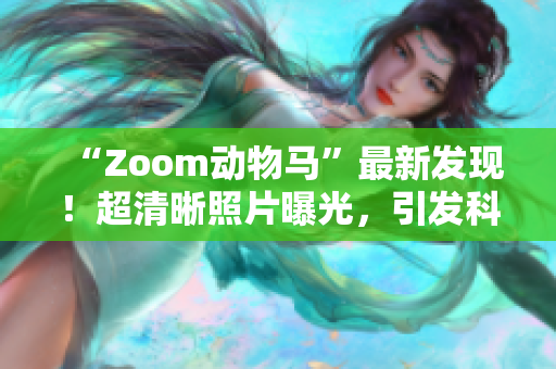 “Zoom动物马”最新发现！超清晰照片曝光，引发科学界热议