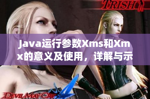 Java运行参数Xms和Xmx的意义及使用，详解与示例介绍