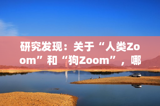 研究发现：关于“人类Zoom”和“狗Zoom”，哪个更好？(1)