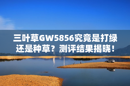 三叶草GW5856究竟是打绿还是种草？测评结果揭晓！