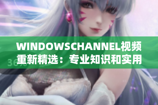 WINDOWSCHANNEL视频重新精选：专业知识和实用技巧分享