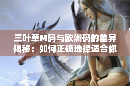 三叶草M码与欧洲码的差异揭秘：如何正确选择适合你的尺码