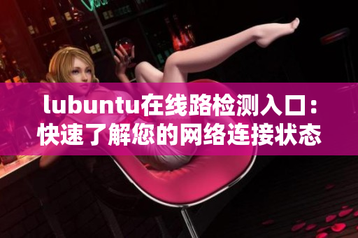 lubuntu在线路检测入口：快速了解您的网络连接状态