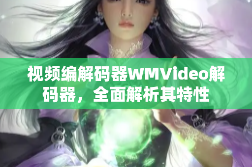 视频编解码器WMVideo解码器，全面解析其特性