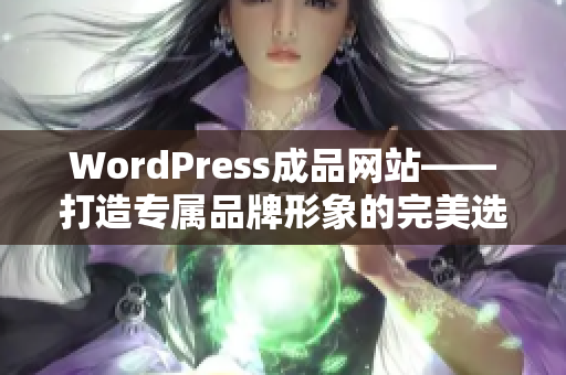 WordPress成品网站——打造专属品牌形象的完美选择