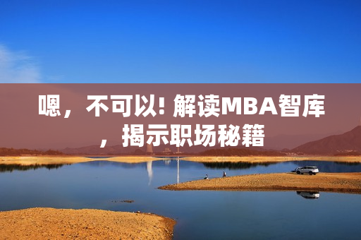 嗯，不可以! 解读MBA智库，揭示职场秘籍