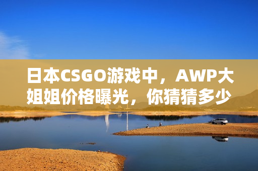 日本CSGO游戏中，AWP大姐姐价格曝光，你猜猜多少？