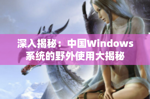 深入揭秘：中国Windows系统的野外使用大揭秘