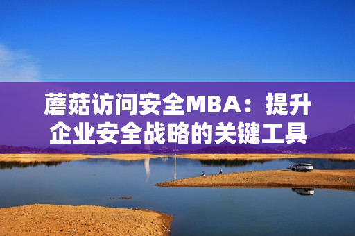 蘑菇访问安全MBA：提升企业安全战略的关键工具