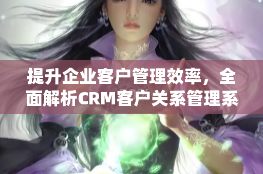 提升企业客户管理效率，全面解析CRM客户关系管理系统