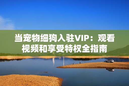 当宠物细狗入驻VIP：观看视频和享受特权全指南