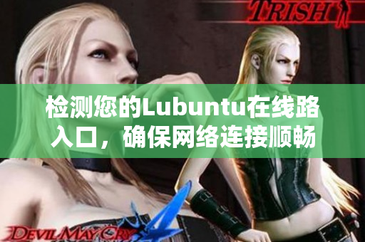 检测您的Lubuntu在线路入口，确保网络连接顺畅