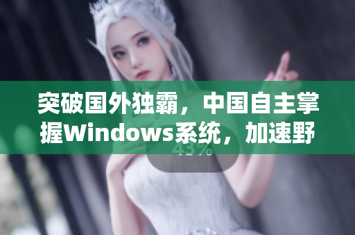 突破国外独霸，中国自主掌握Windows系统，加速野外应用！