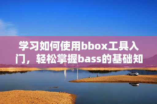 学习如何使用bbox工具入门，轻松掌握bass的基础知识