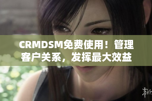 CRMDSM免费使用！管理客户关系，发挥最大效益