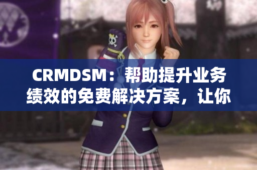 CRMDSM：帮助提升业务绩效的免费解决方案，让你事半功倍