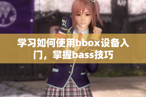 学习如何使用bbox设备入门，掌握bass技巧